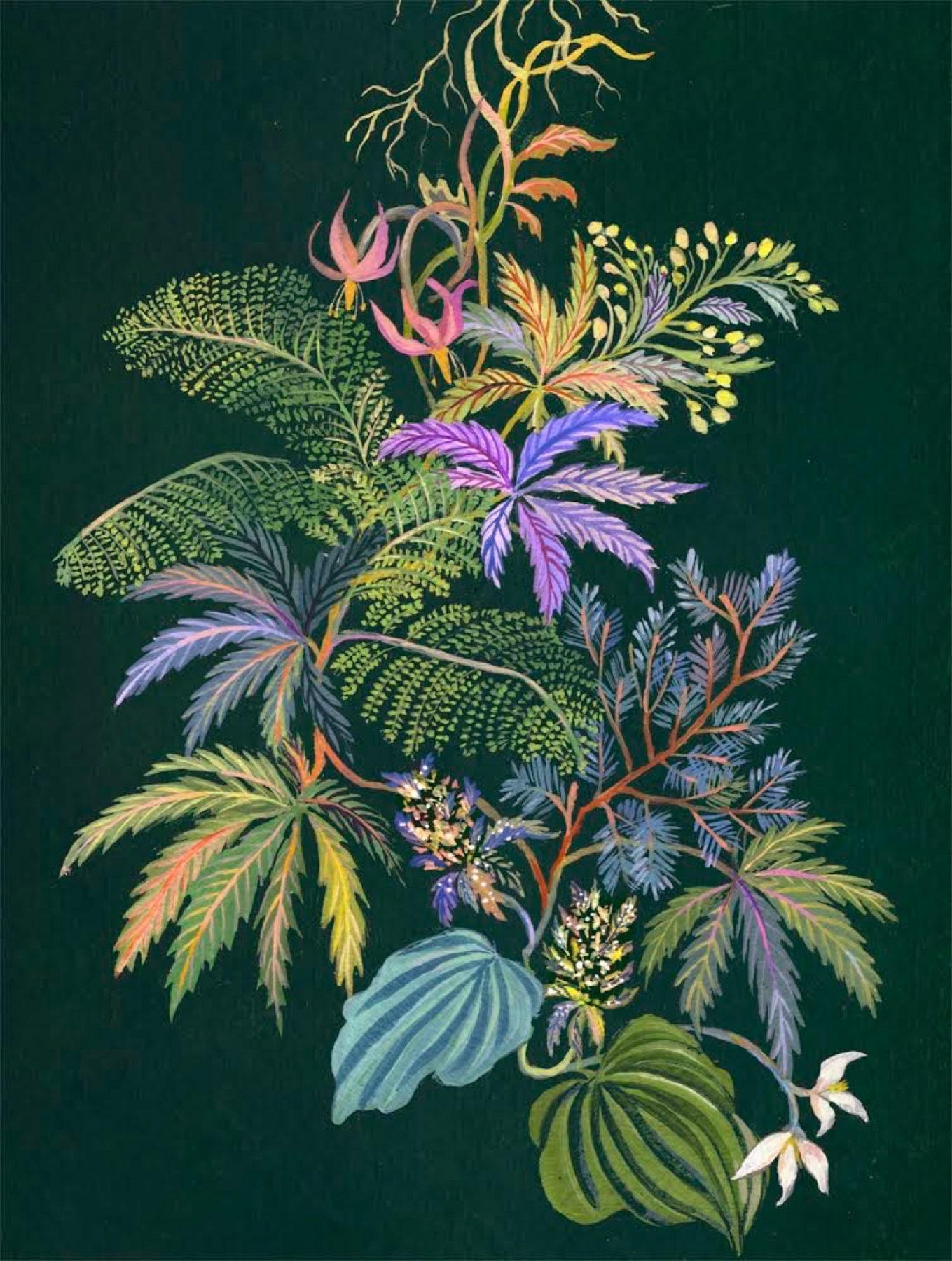 cannabis illustration with florals and vegetables